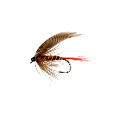 Mucha Brown and Red Tail Taimen