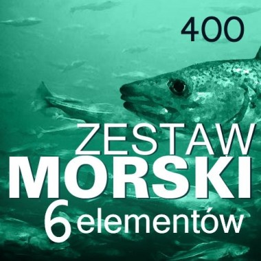 Zestaw morski 400 Wedkarski.com