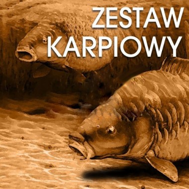 Zestaw Karpiowy 400 Wedkarski.com