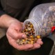 NASH Ziarna w zalewie - Large Seed Mix 2,5 l