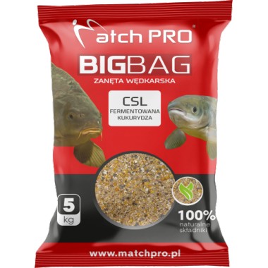 Zanęta Big Bag 5 kg Match Pro
